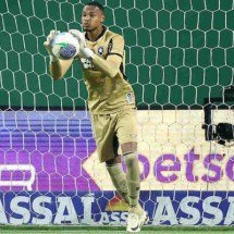 Atuações do Botafogo contra o Flamengo: sem time, sem técnico e à deriva - Foto: Vitor Silva/Botafogo 