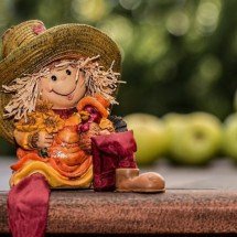 Saudades de Rolandio Boldrin, expoente da valiosa cultura caipira do Brasil - Steve Buissinne por Pixabay