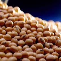 Dívidas e incertezas, um desafio para o agro - EBC/Divulgação