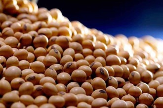 Dívidas e incertezas, um desafio para o agro