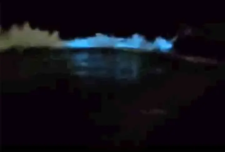 ‘Mar Iluminado’: Lugares onde a bioluminescência provoca fascínio - Reprodução de vídeo Cidade de Niterói