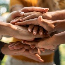OSCs ajudam a reduzir problemas sociais do país - DINO