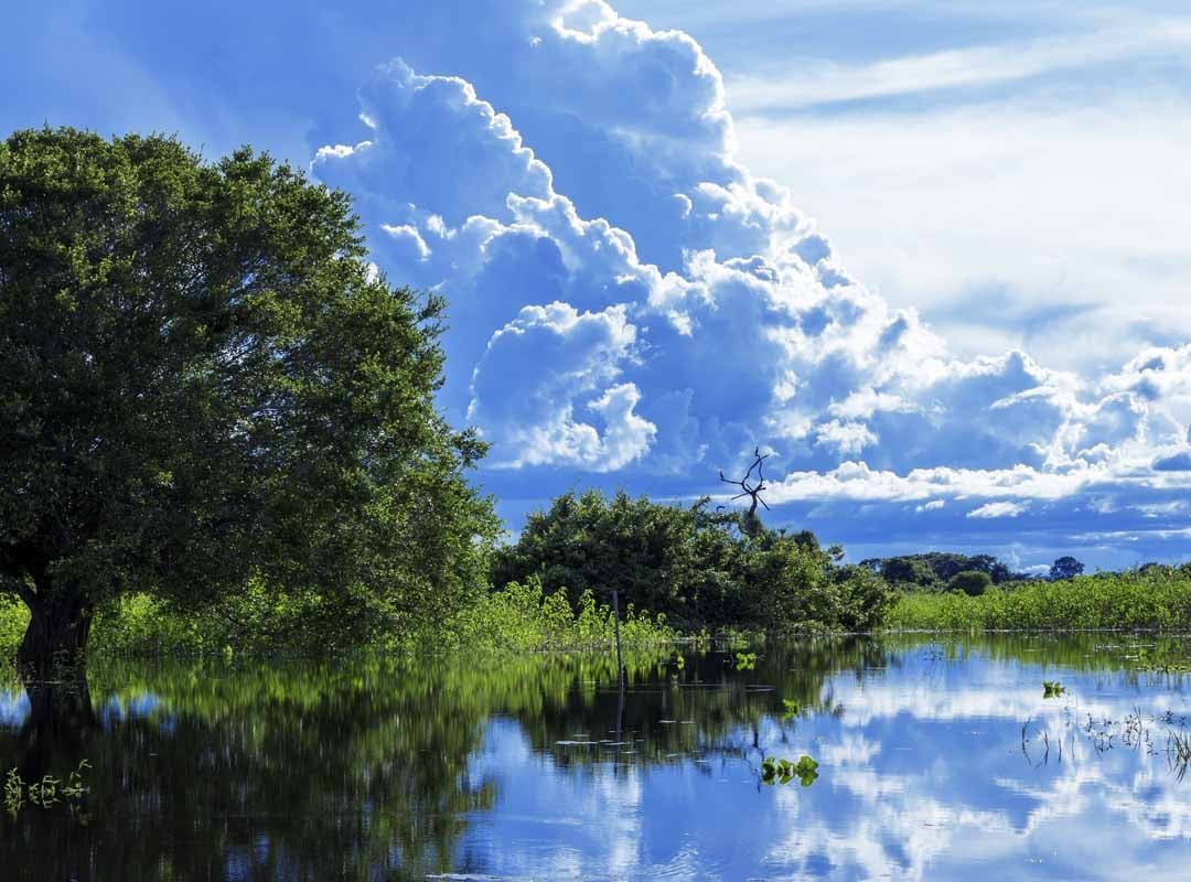 Parque Nacional do Pantanal Mato-Grossense, Mato Grosso - Criado em 1981, o parque abrange uma área de aproximadamente 135 mil hectares e faz parte do complexo do Pantanal, a maior planície alagável do mundo. É um importante habitat para animais como cobras, onças-pintadas, capivaras, jacarés, além de mais de 650 espécies de aves, como tuiuiús, araras e garças.