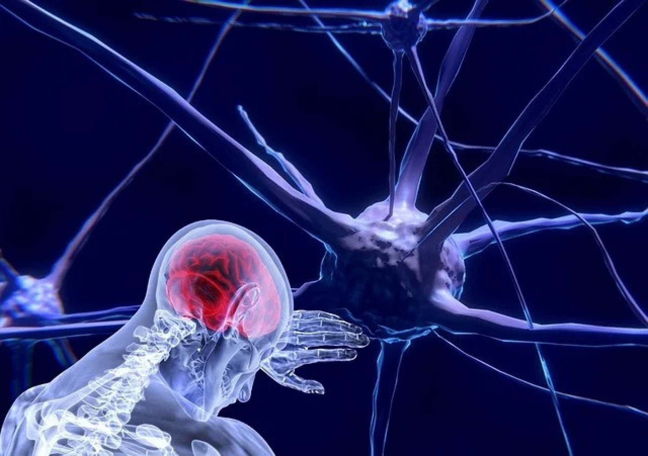Como a neurociência pode auxiliar o casamento