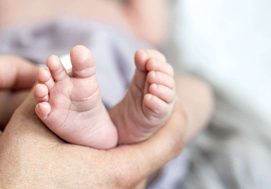 Reprodução/Freepik