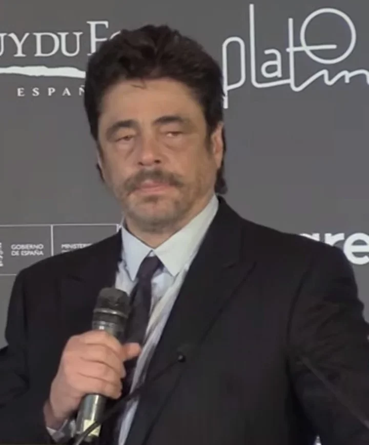 Vários artistas conhecidos nasceram na ilha de Porto Rico. É o caso, por exemplo, do premiado ator Benício del Toro. 
