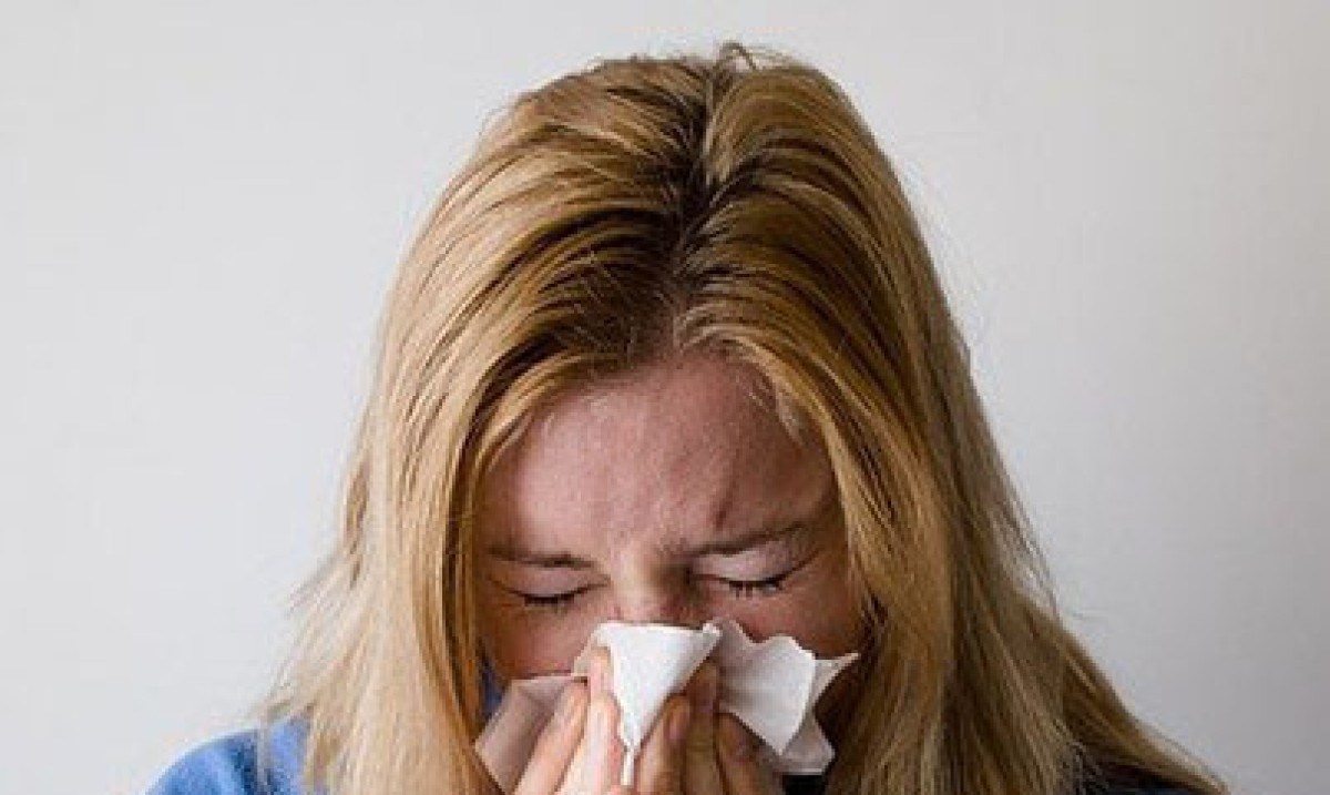 Entre as doen&ccedil;as mais comuns do outono est&atilde;o a gripe, a asma, a bronquite, dengue e sinusite.  -  (crédito: Mojpe/Pixabay)