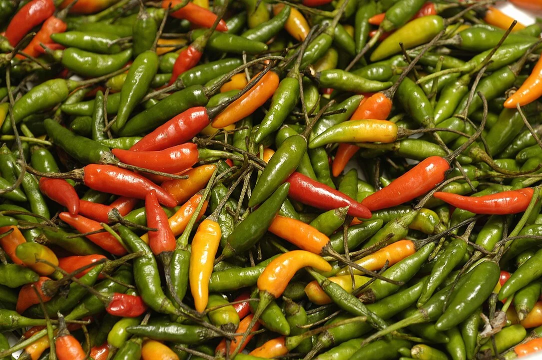 Além da ardência: veja como a pimenta pode dar um sabor especial aos pratos - CostaPPPR - wikimedia commons