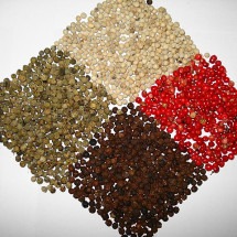 Temperos e especiarias que fazem diferença na culinária - Miansari66  wikimedia commons