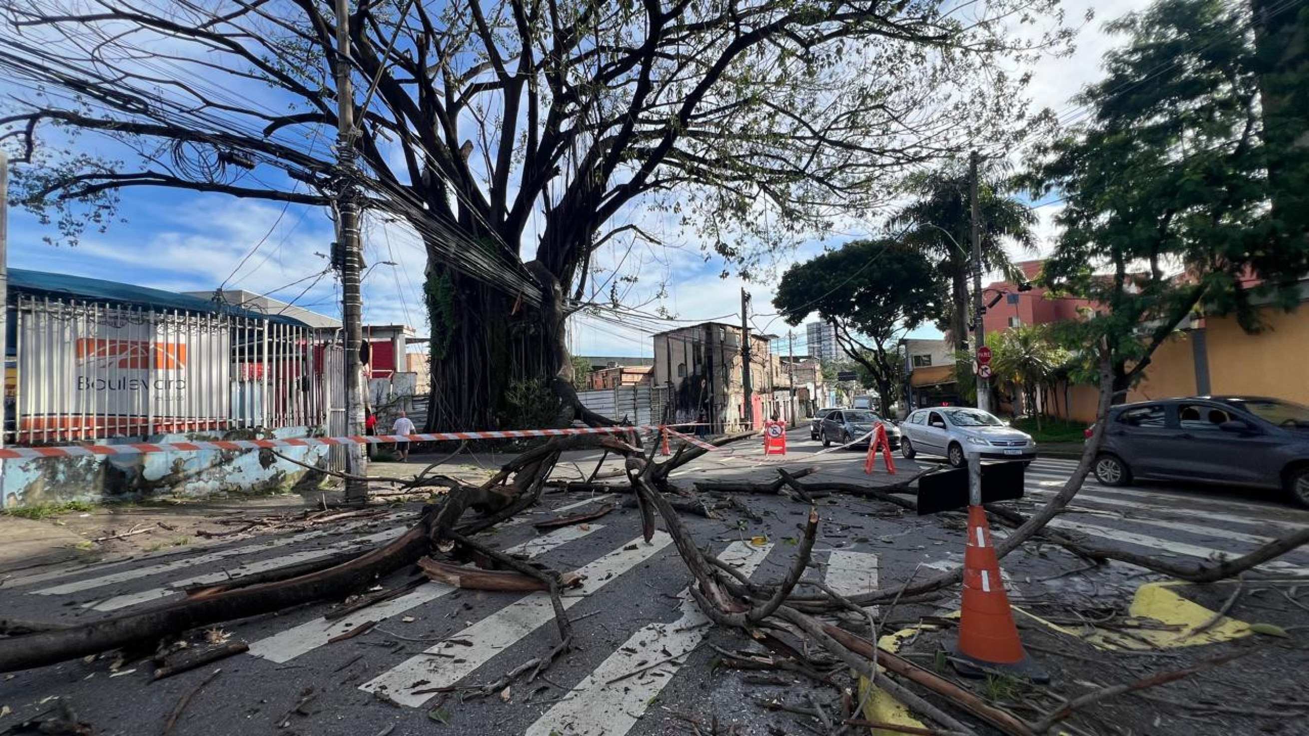 BH: galho bloqueia trânsito e atinge fios de energia em rua movimentada