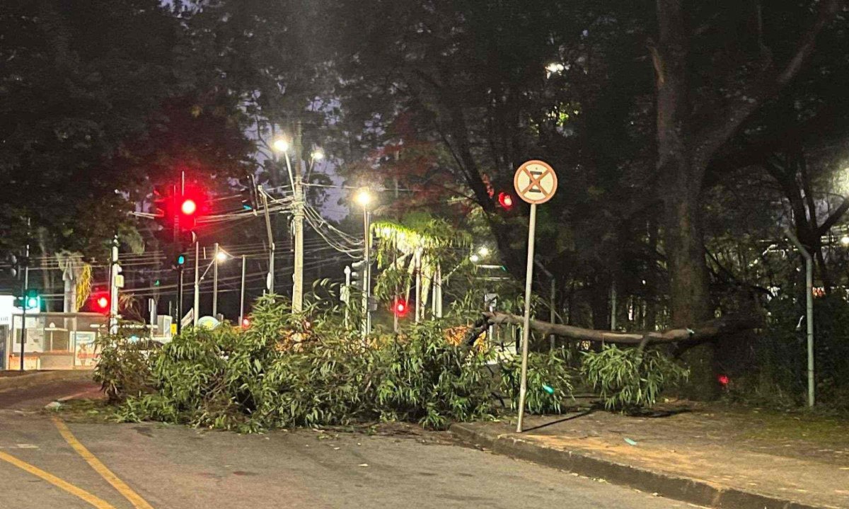 Galho bloqueia a saída do bairro Milionários, na região do Barreiro, na manhã desta quarta-feira