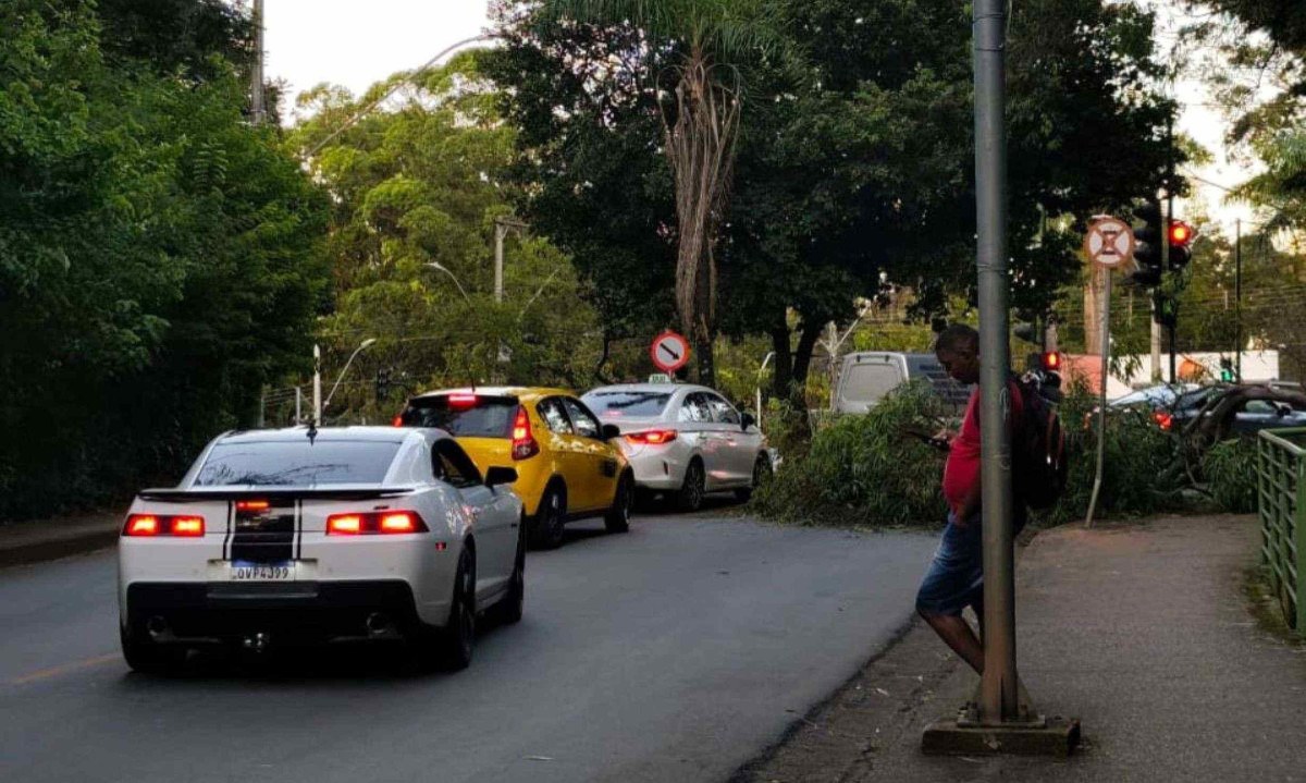 Tr&acirc;nsito do in&iacute;cio da manh&atilde; conta com conten&ccedil;&atilde;o no trecho -  (crédito: Maria Cec&iacute;lia de Freitas/Imagem cedida ao Jornal Estado de Minas)