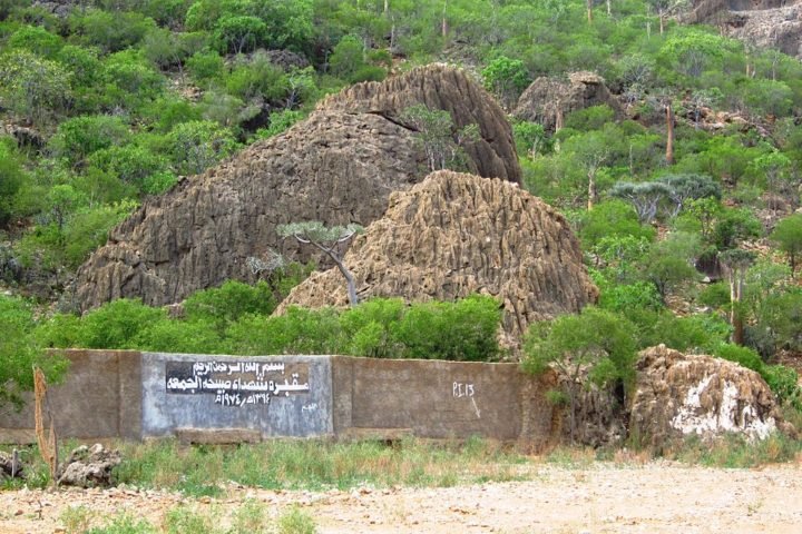 O idioma principal é o socotri, um dialeto semítico único, que reflete as influências da história de comércio e navegação da região.