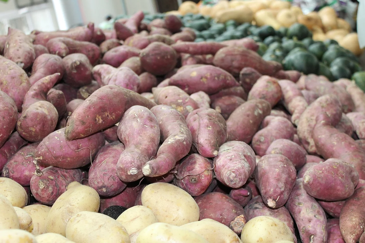 Batata-doce:  alimento vigoroso surpreende servindo até para fazer suco - Imagem de Daniel Albany por Pixabay

