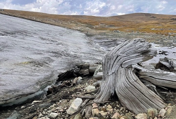 Gelo derretido revela floresta milenar em montanha dos EUA