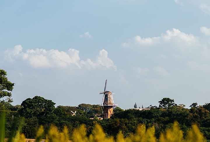 São cinco andares abertos para visitação que contam a história dos imigrantes, da construção de moinhos holandeses e deste próprio moinho. Ele tem 38 metros de altura e lá de cima permite uma vista privilegiada da cidade.