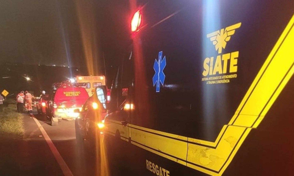 Motociclista e vaca morreram no local do acidente em Uberlândia -  (crédito: CBMMG)