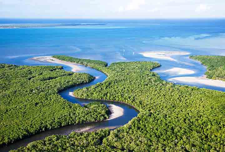 O cenário da localidade na costa africana se destaca pela bela coloração das águas e, especialmente, os extensos recifes de corais.

