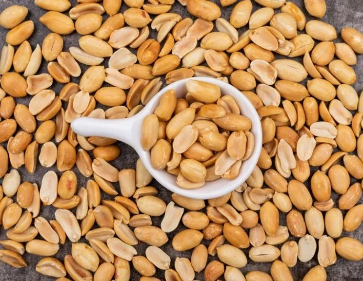 Fechamos a galeria com um alerta. Antes de consumir amendoim, é importante que você verifique se não tem alergia. O amendoim faz parte da seleta lista de alimentos que estão entre os mais comuns para pessoas alérgicas - ao lado de leite, ovos, castanhas, trigo, peixe e frutos do mar 