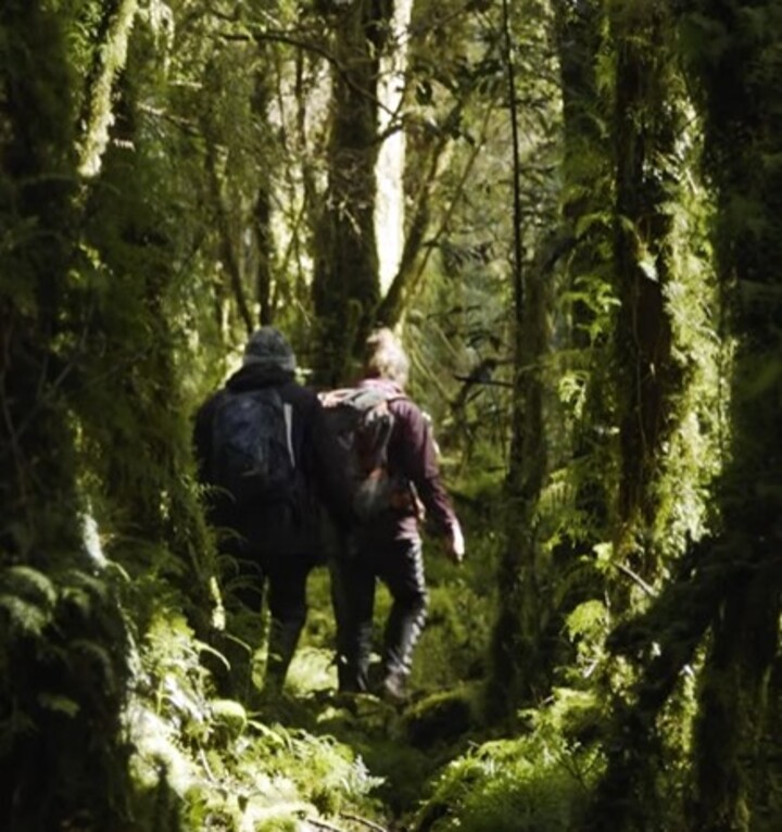 Os novos exemplares surgiram de 11 sapos machos transferidos do Parque Tantauco, na costa do Chile, para o Reino Unido, em operação montada por conservacionistas para tentar salvar a espécie. 
