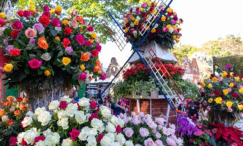 Holambra: Capital Nacional das Flores; fácil entender o porquê