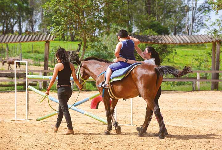 Equoterapia: Terapia com cavalos traz benefícios para a saúde física e mental