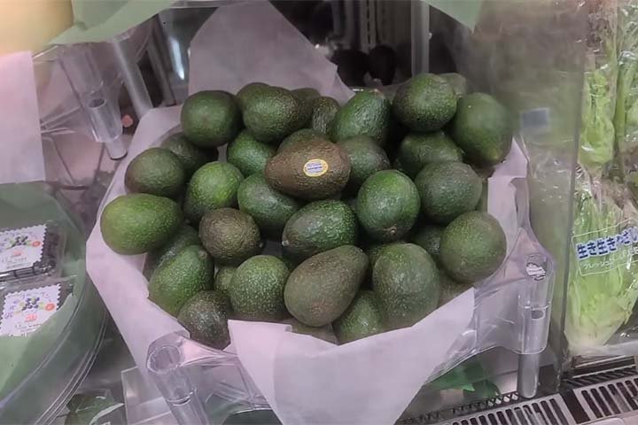 A produção de frutas no Japão é considerada uma obra de arte, onde a qualidade supera a quantidade. Desde a seleção rigorosa de sementes até o cuidado manual com cada muda. Assim, os produtores dedicam-se com zelo, desde o cuidado com os botões até a poda cuidadosa para concentrar os nutrientes em frutos específicos. 