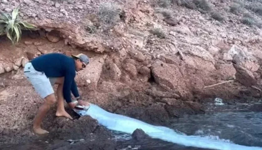 Vídeo do ‘peixe do juízo final’ confunde local da aparição com litoral capixaba - Reprodução