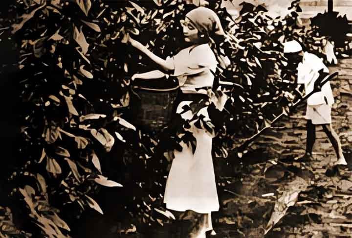 O Dia Nacional da Imigração Japonesa, celebrado anualmente em 18 de junho, marca a chegada ao Brasil dos primeiros imigrantes nipônicos. Eles se tornariam uma grande comunidade integrada ao país. - - Flickr 47's