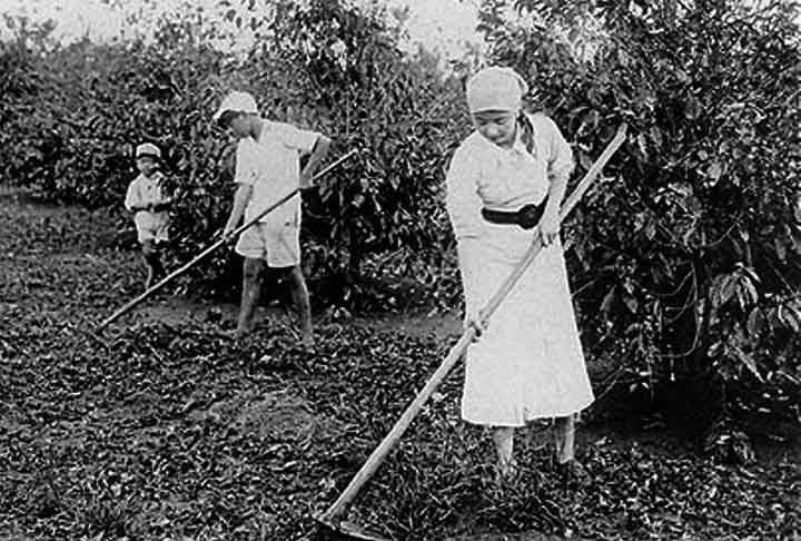 No início do século XX, também houve grandes fluxos de emigração japonesa para colonizar os territórios recém-conquistados da Coreia e Taiwan. Praticamente todos os imigrantes que formaram grandes colônias retornaram ao Japão depois do fim da Segunda Guerra Mundial.- Domínio Público/Wikimédia Commons