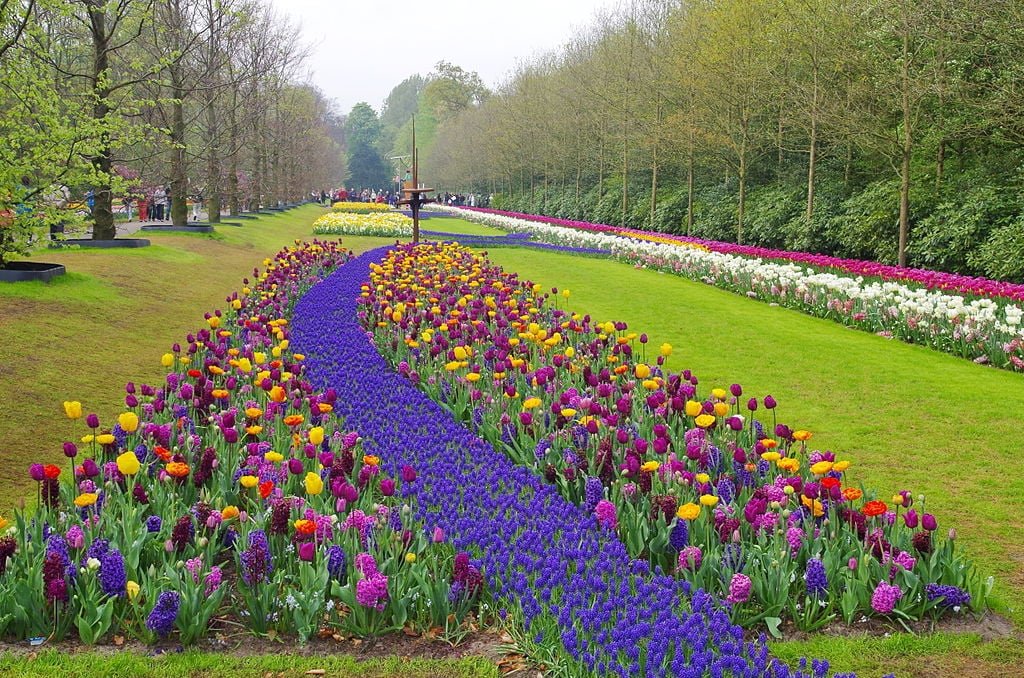 1. Keukenhof, Holanda - Um dos maiores jardins de flores do mundo, fica em Lisse. Ele é especialmente famoso por suas extensas exibições de tulipas, com milhões de flores durante a primavera.