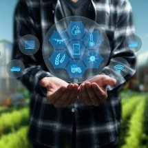 Agronegócio cresce no país e tecnologia tem papel crucial na expansão do setor -  Shutterstock