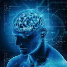  Estudo mapeia genes do cérebro relacionados à disfunção de neurônios - Freepik