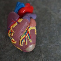Morte súbita durante atividade física; um risco que pode ser evitado - Robina Weermeijer Unsplash