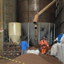 MG: trabalhador morre soterrado por ração para peixe - CBMMG