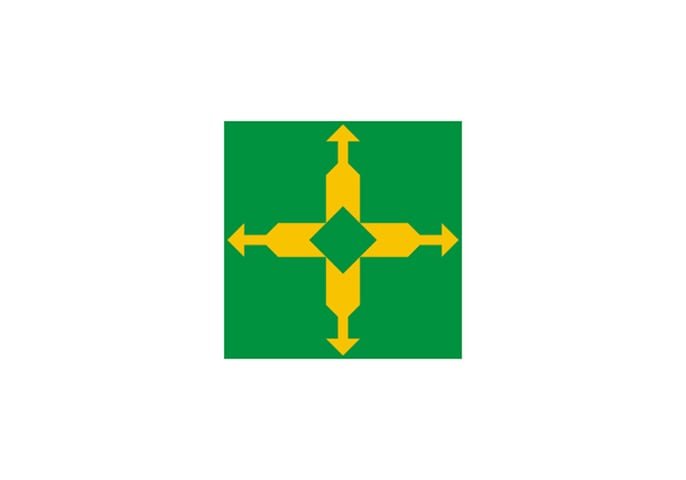 Distrito Federal (DF) - Adoção: 26 de agosto de 1969. - Representação: O verde representa a vegetação, e a cruz branca com pontas alargadas simboliza o equilíbrio e a convergência.