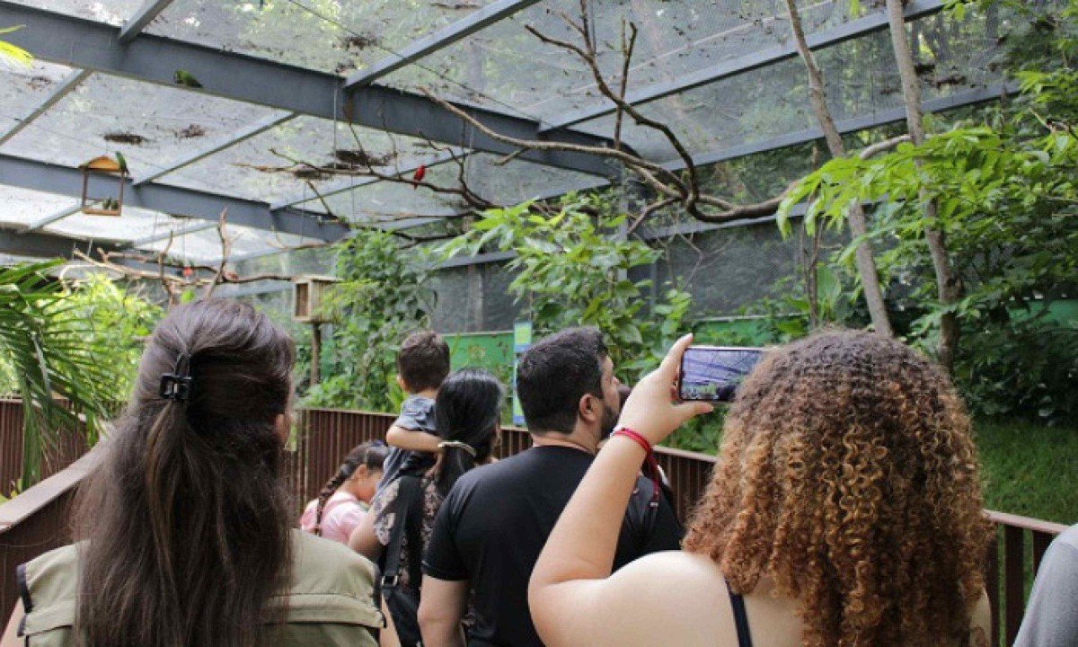 O Zoo de BH conta atualmente com 72 esp&eacute;cies de aves brasileiras e 28 ex&oacute;ticas -  (crédito: Gabriel Santiago / Divulga&ccedil;&atilde;o PBH)