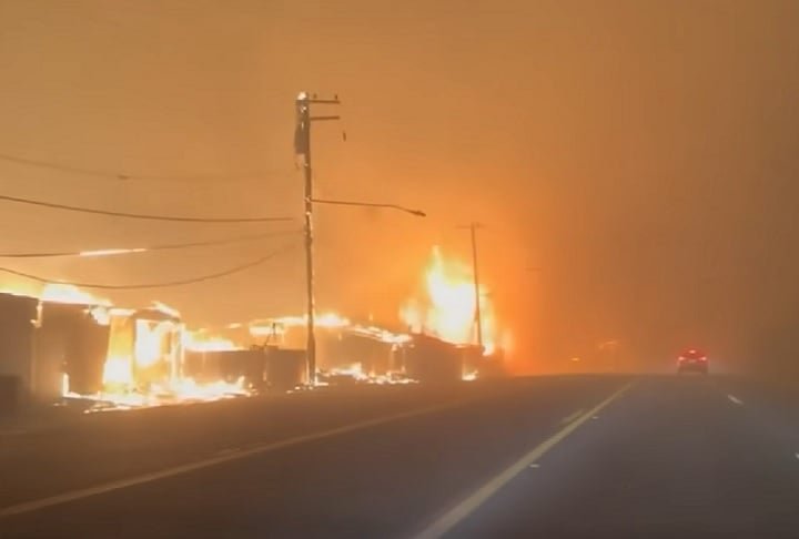 A polícia emitiu uma ordem de retirada para a área ao redor do parque, incluindo partes da famosa Hollywood Boulevard, onde ficam localizados diversos pontos turísticos.