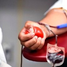 Banco de sangue: Uma única bolsa pode salvar 4 vidas - Michelle Gordon - pixabay