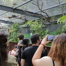 Zoológico de BH oferece visitas guiadas ao recinto de aves resgatadas - Gabriel Santiago / Divulga&ccedil;&atilde;o PBH