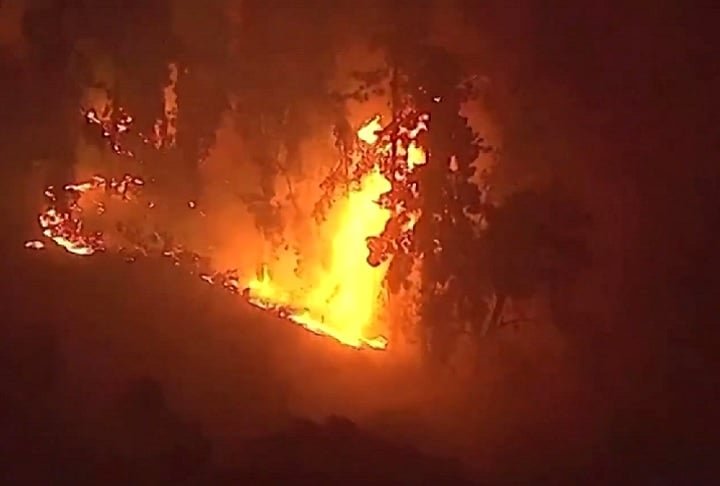 Apesar dos incêndios estarem contidos, os bombeiros seguem focados na recuperação das áreas afetadas. Relembre o que aconteceu!