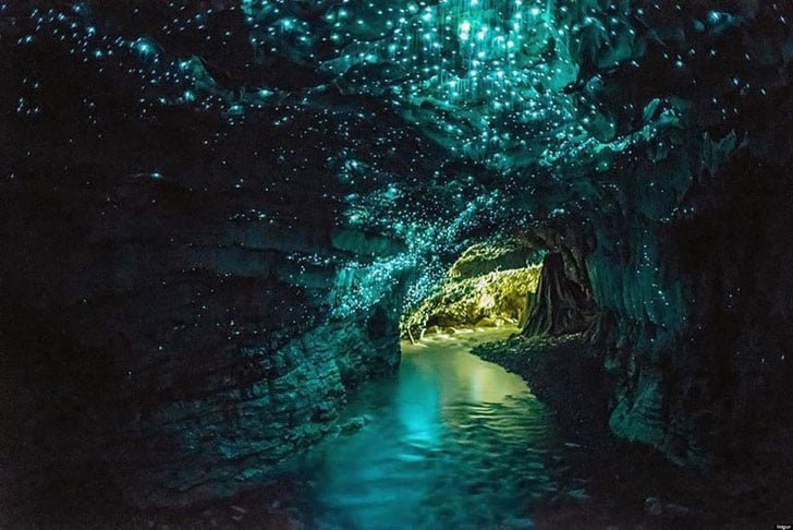  Cavernas Glow Worm (Nova ZelÃ¢ndia) - Parecem mÃ¡gicas. Elas tÃªm um magnÃ­fico teto aparentemente estrelado, como se fosse a Via LÃ¡ctea. Mas o efeito Ã© causado por insetos que acendem a cauda para atrair presas. O lugar tambpem tem uma coleÃ§Ã£o impressionante de estalactites e estalagmites. 