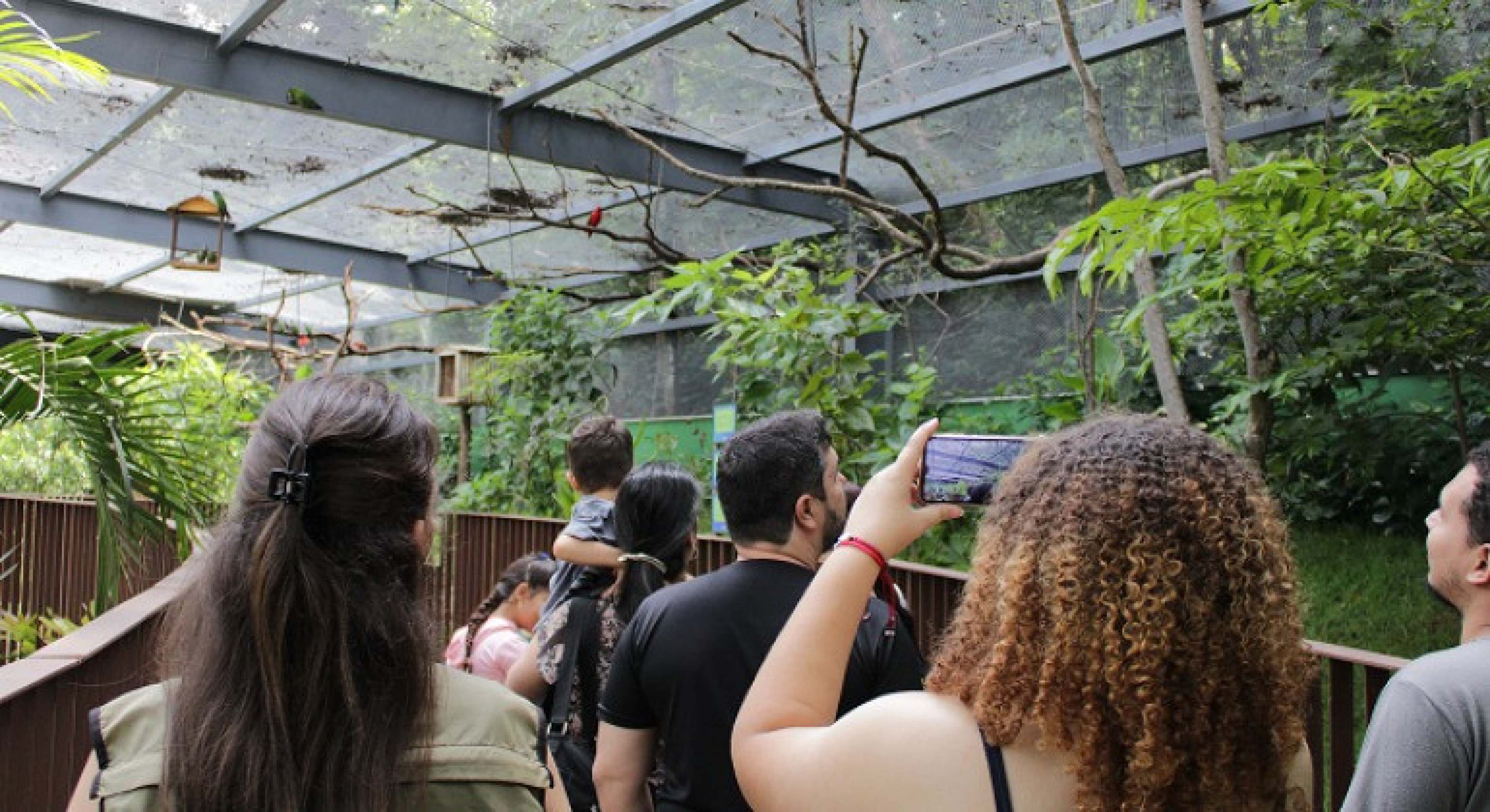 Zoológico de BH oferece visitas guiadas ao recinto de aves resgatadas