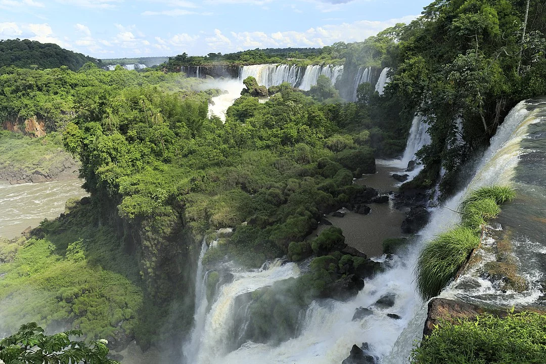 Essas áreas são notórias pela biodiversidade, mas também carregam uma rica herança de disputas e colaborações que moldaram a relação entre os dois países.-Falk2 wikimedia commons 