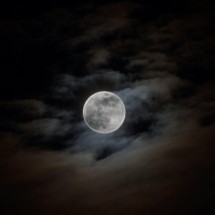 'Lua de Veado': entenda o fenômeno anual - Wemystic