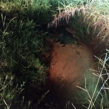 Corpo é encontrado em riacho à beira da BR-267, em Minas Gerais - CBMMG