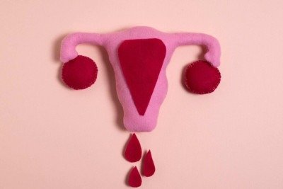 menstrua&ccedil;&atilde;o -  (crédito: Freepik )