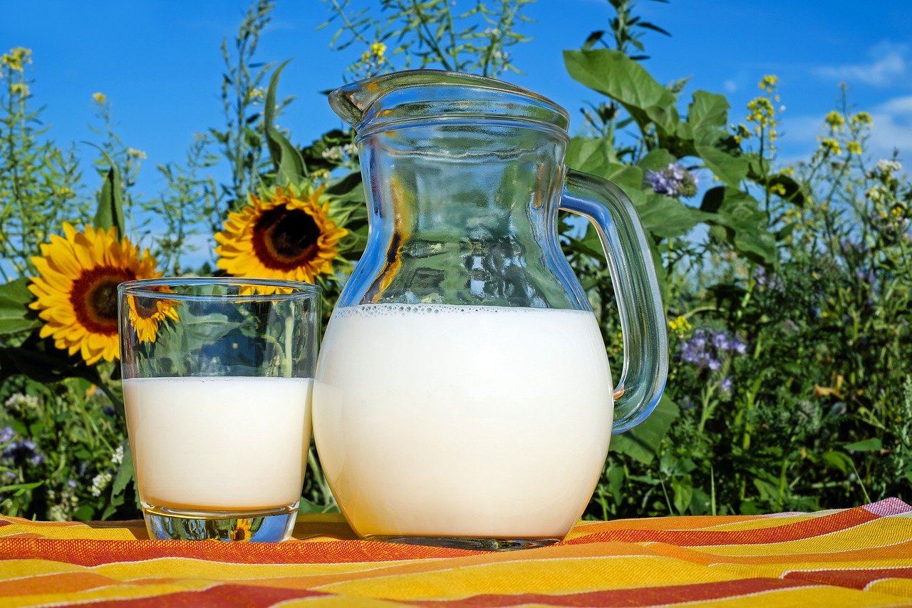 Além de possuir menos lactose, o leite da cabra é uma excelente fonte de proteína. Para quem necessita absorver as propriedades nutritivas dos alimentos e reforçar os níveis de cálcio, potássio, magnésio e vitaminas A e C, essa é uma alternativa ideal.