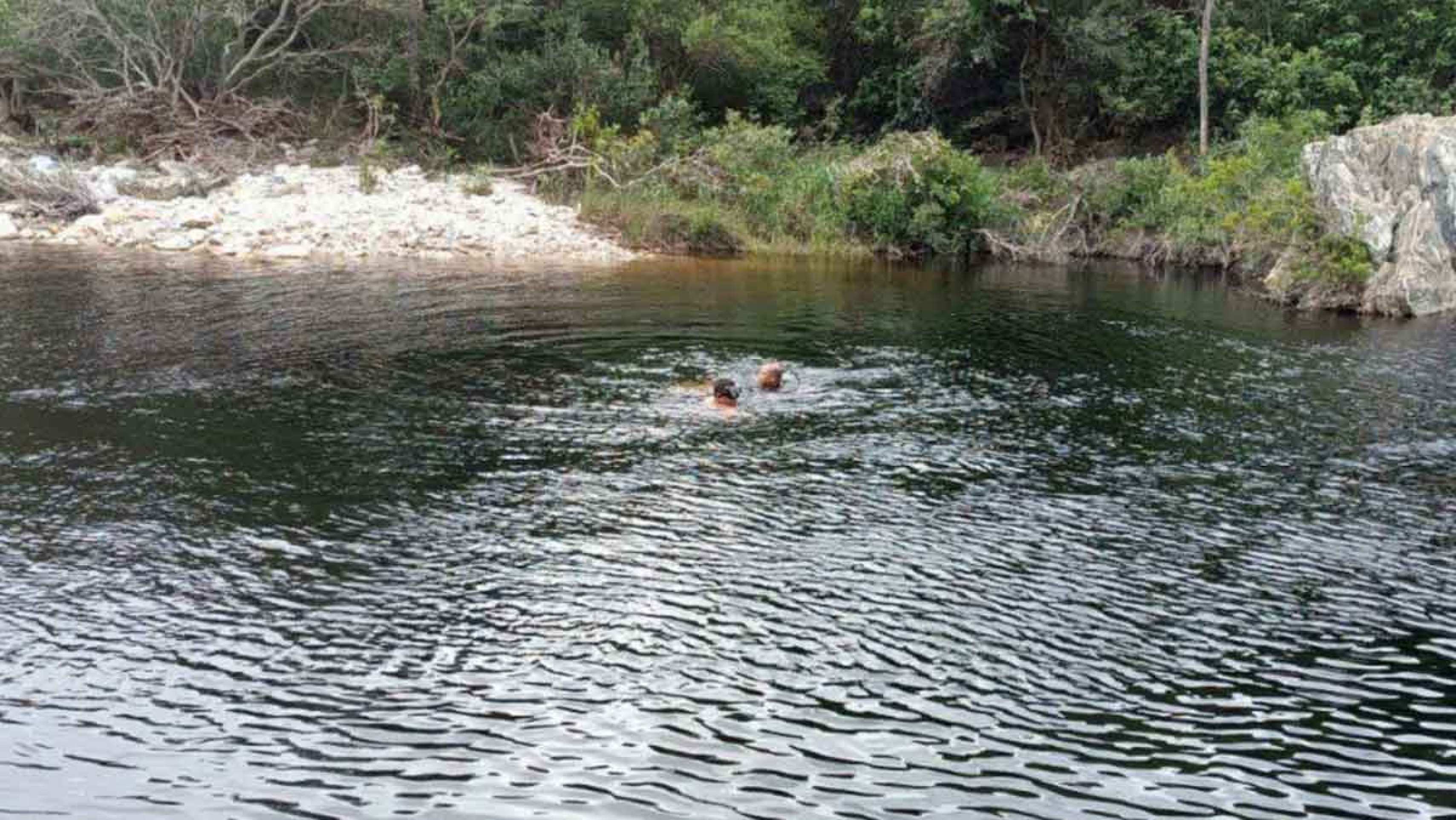 Mortes por afogamento ligam alerta em Minas