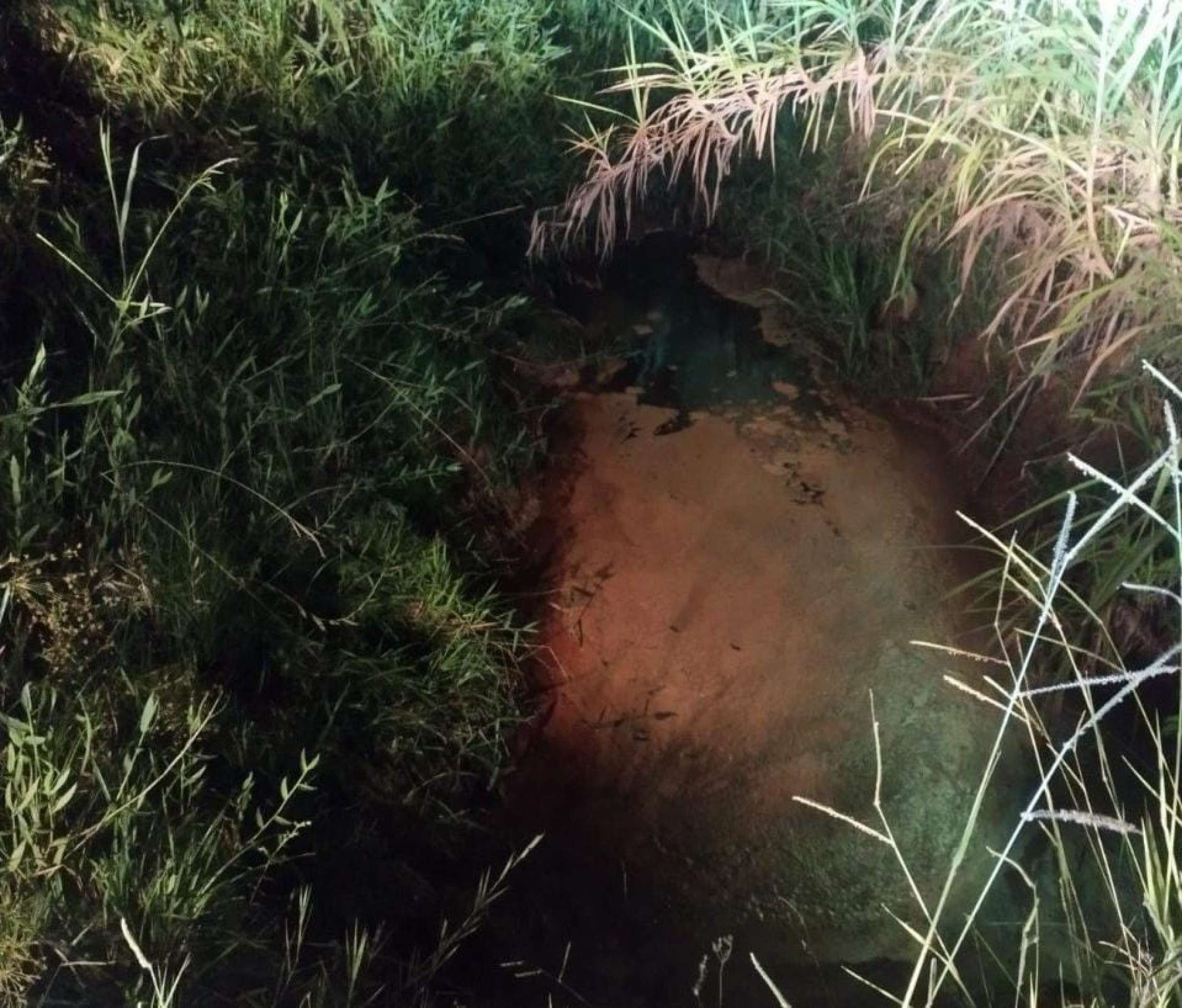 Corpo é encontrado em riacho à beira da BR-267, em Minas Gerais